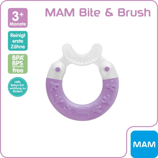 MAM Bite & Brush 3+